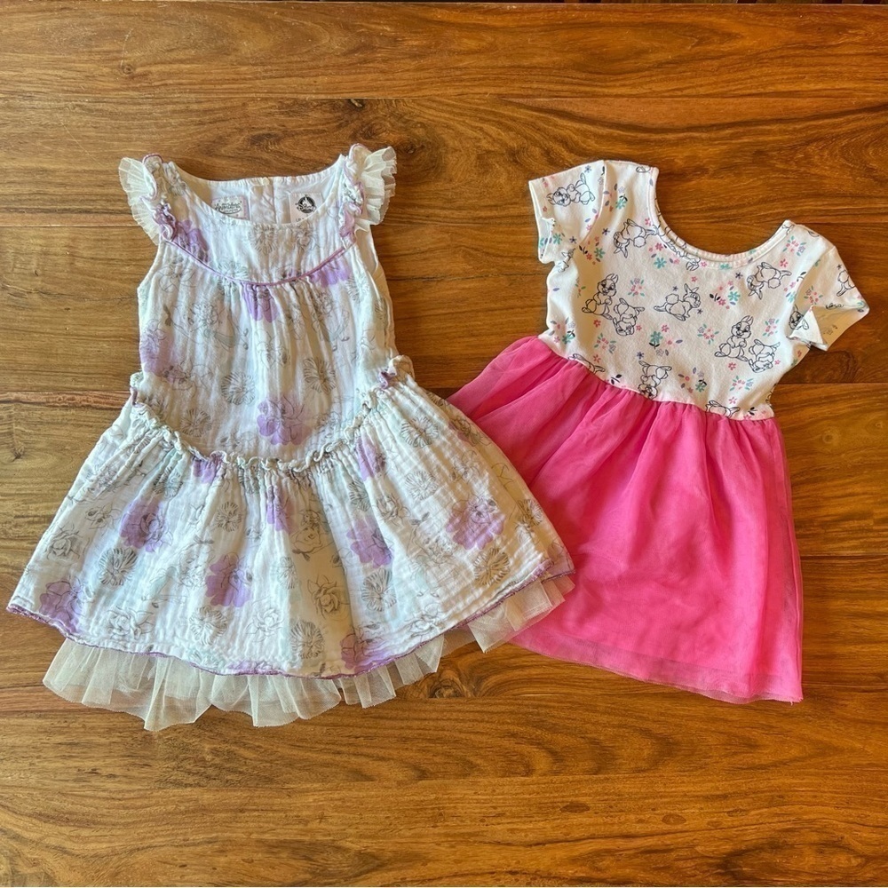 Disney Store Alice in Wonderland & Bambi (Thumper) Dress Bundle x2